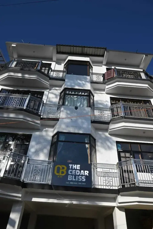 The Cedar Bliss