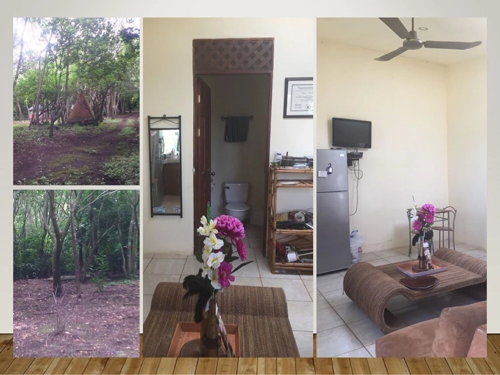 Apartment #1 is Waiting for you at Jorge Manuel National Park