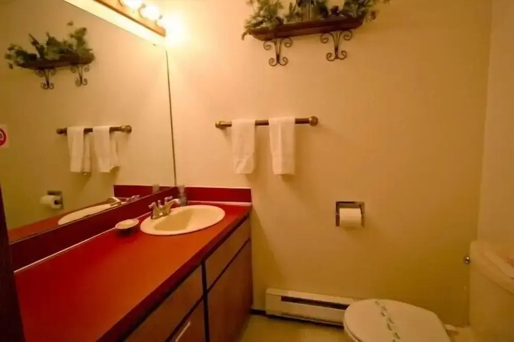 Mt Baker Lodging Condo 73- Sleeps 6