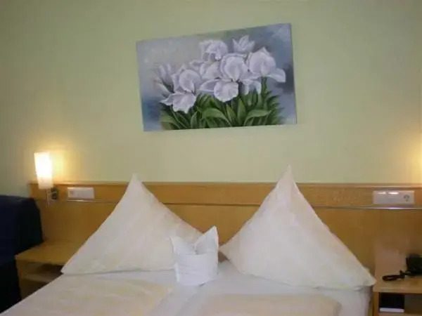 Hotel Goldener Löwe