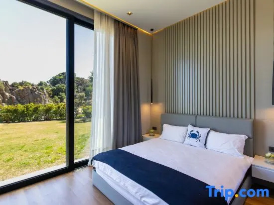 Bodrum Luxury Villa Sea View and Private Pool