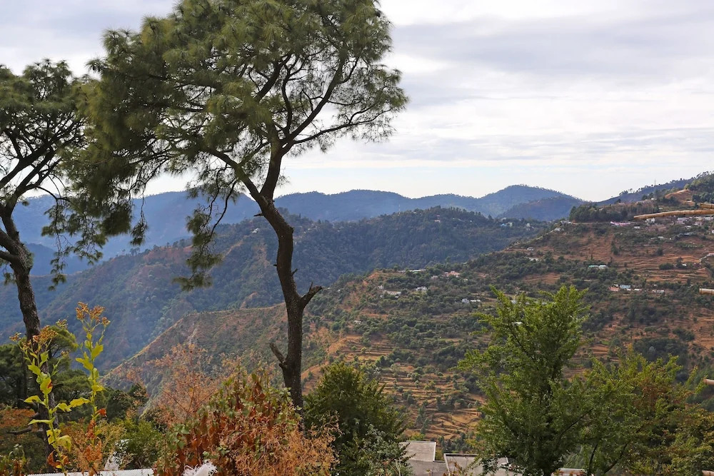 OYO 10867 Home 1BHK Valley View Bhowali
