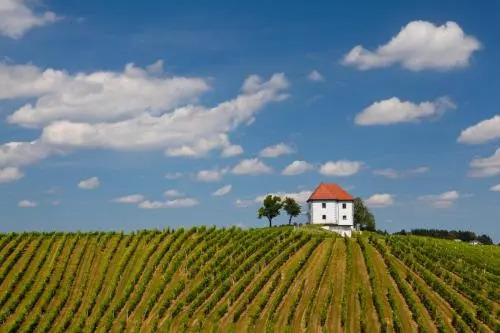 Wine Growers Mansion Zlati Gric