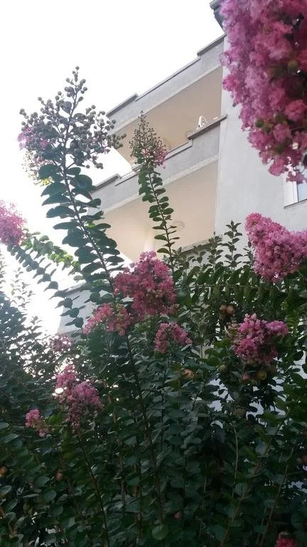 Family Hotel "May"