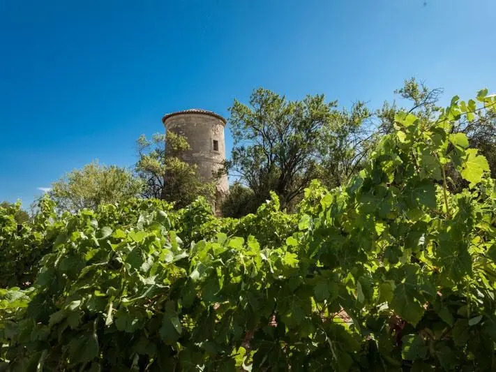 Château Pech-Céleyran