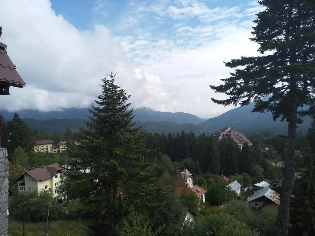 Pensiune turistica Milcov-VLADET