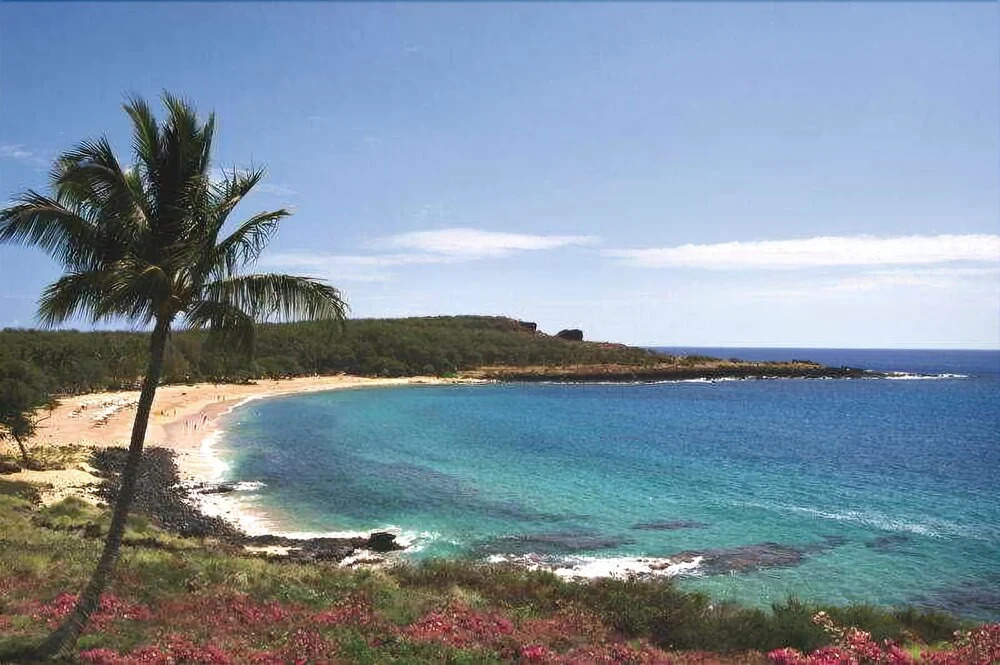 Hotel Lanai