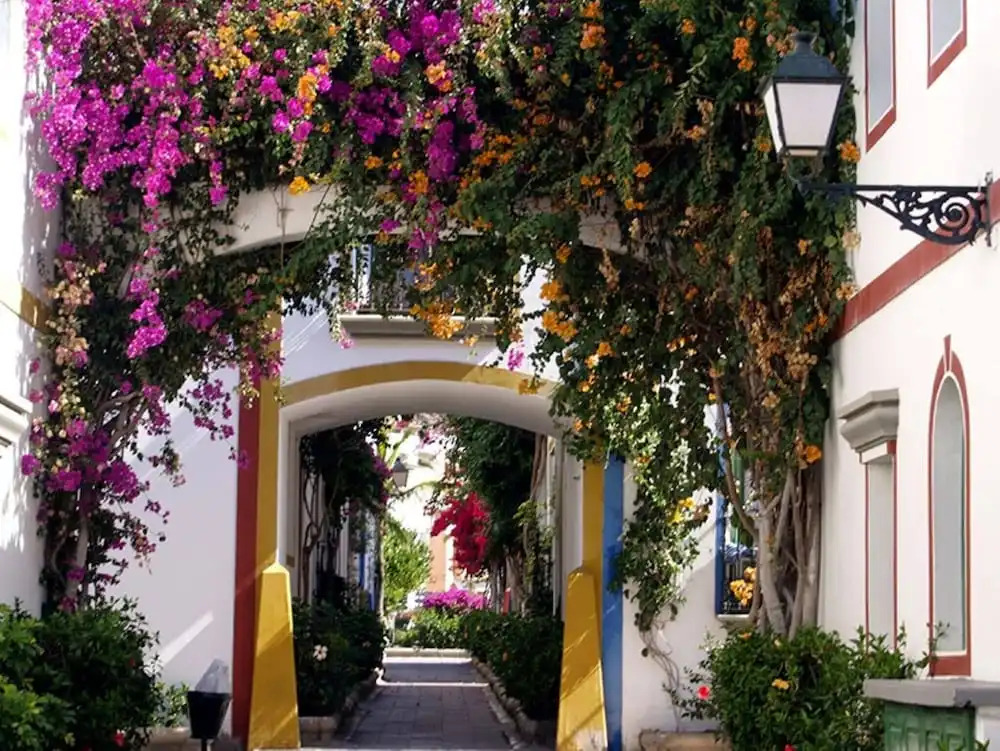 Lovely Studio With Private Terrace And Ocean View by El Sirocco