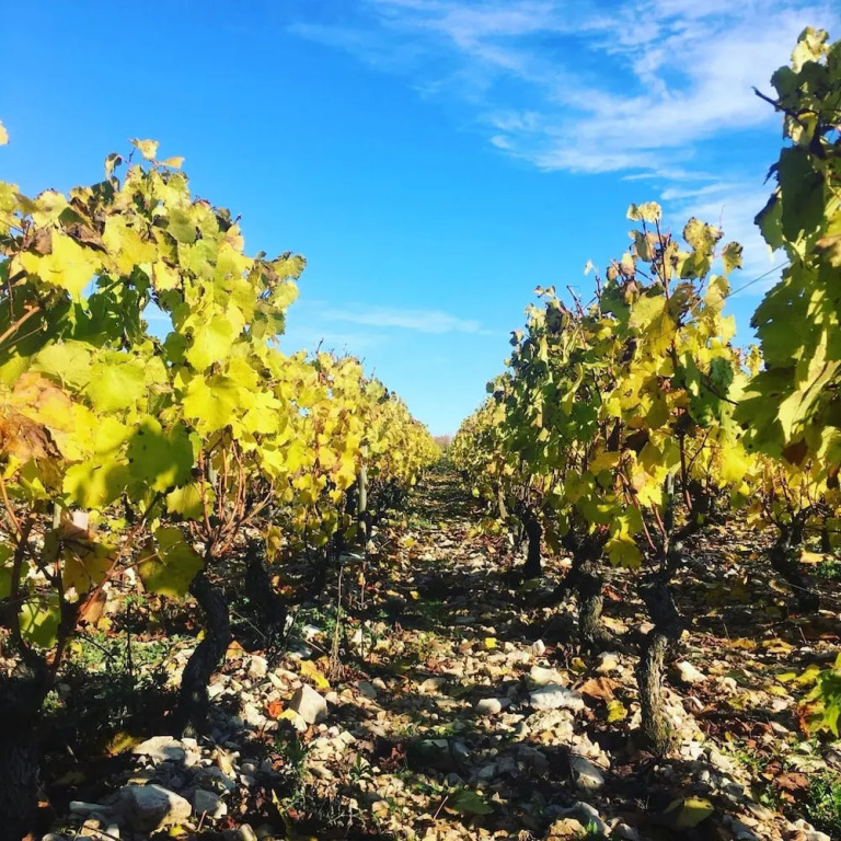 La Maison du Grand Four en Bourgogne, Au coeur de Vignes, Piscine et Sauna