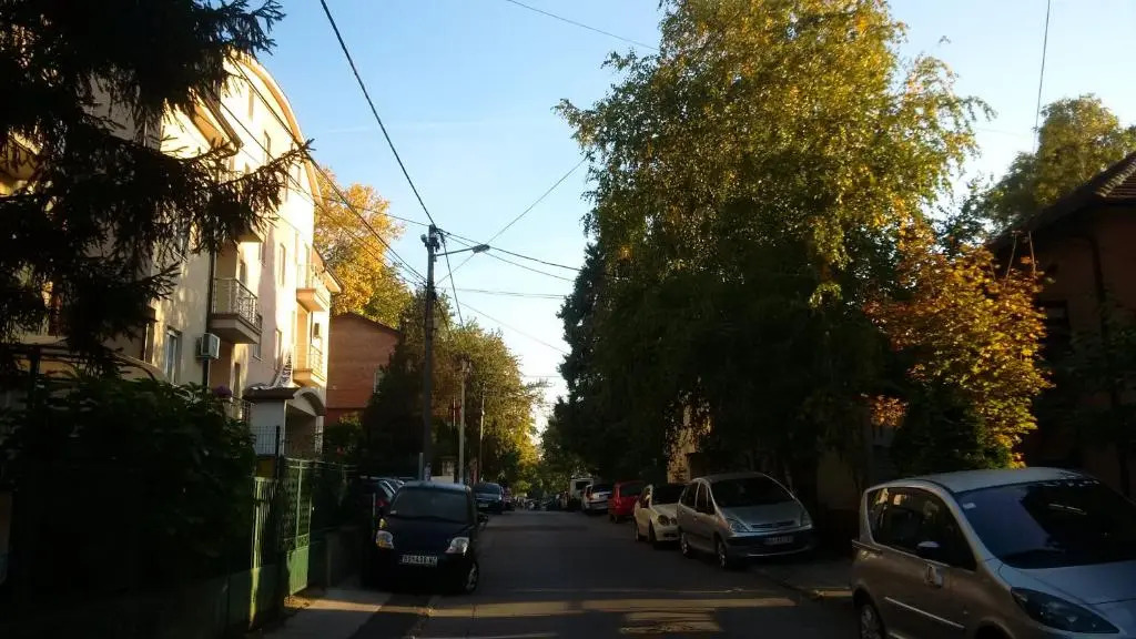 Flat Kosutnjak 9