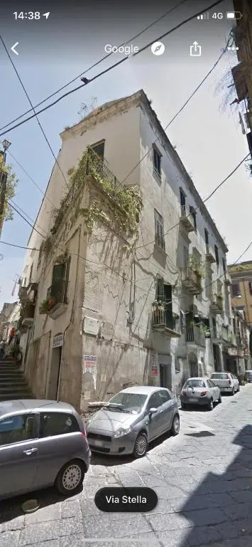 The paradise house