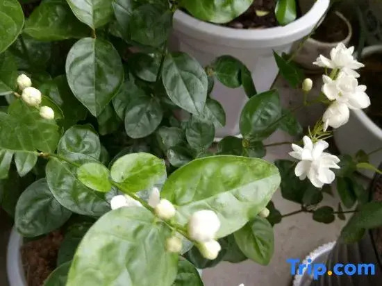 Yuchangkuai Guesthouse