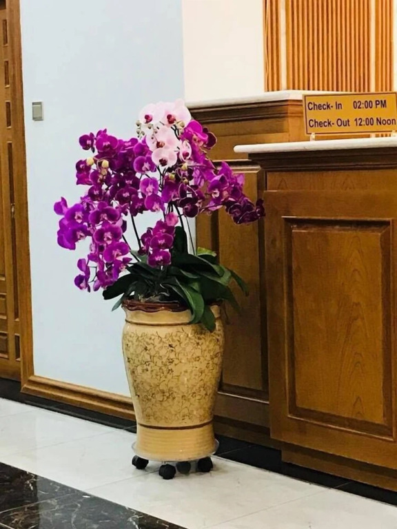 Shwe Pyi Thain Kha Hotel