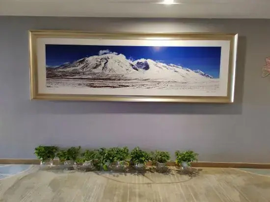 Shuda Hotel (Altay Road Airport, Urumqi)