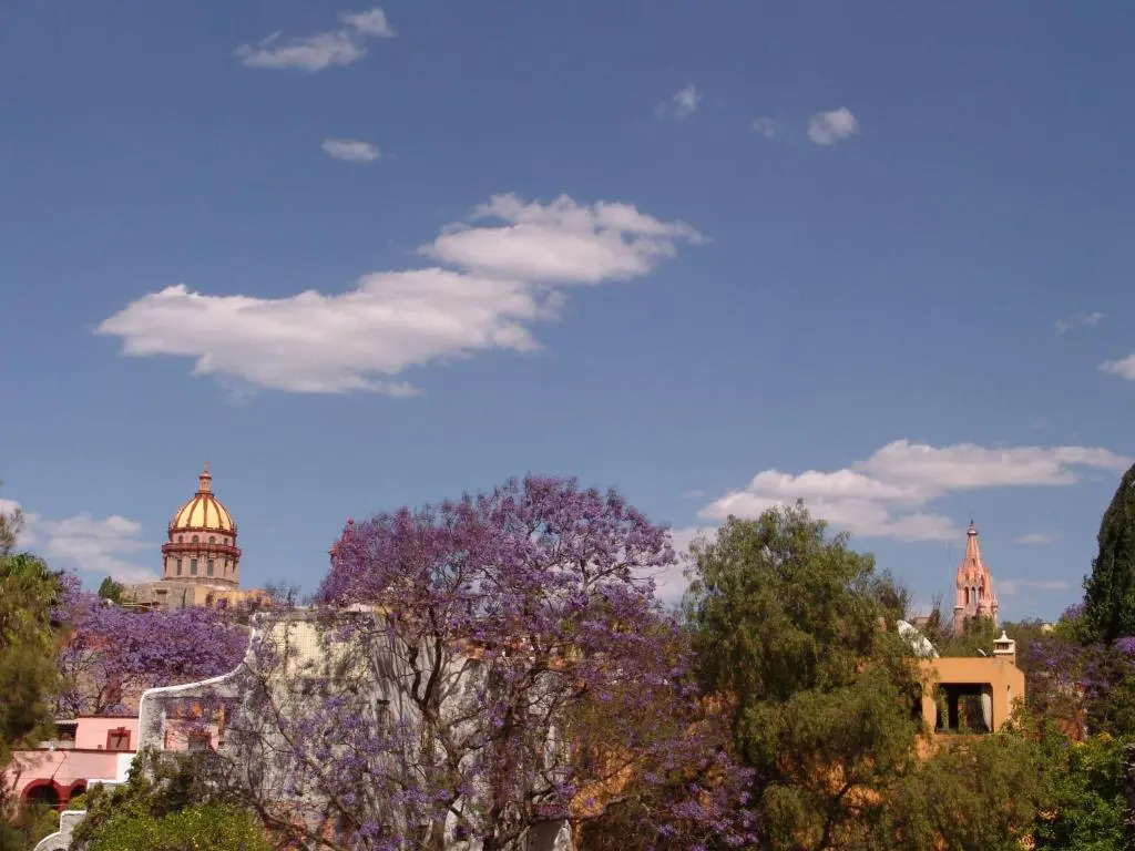 Hotel Casa Don Quijote