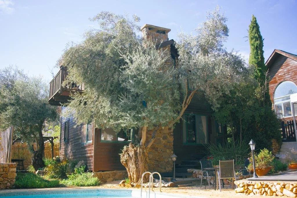 Villa Rosh Pina - Inner Circle