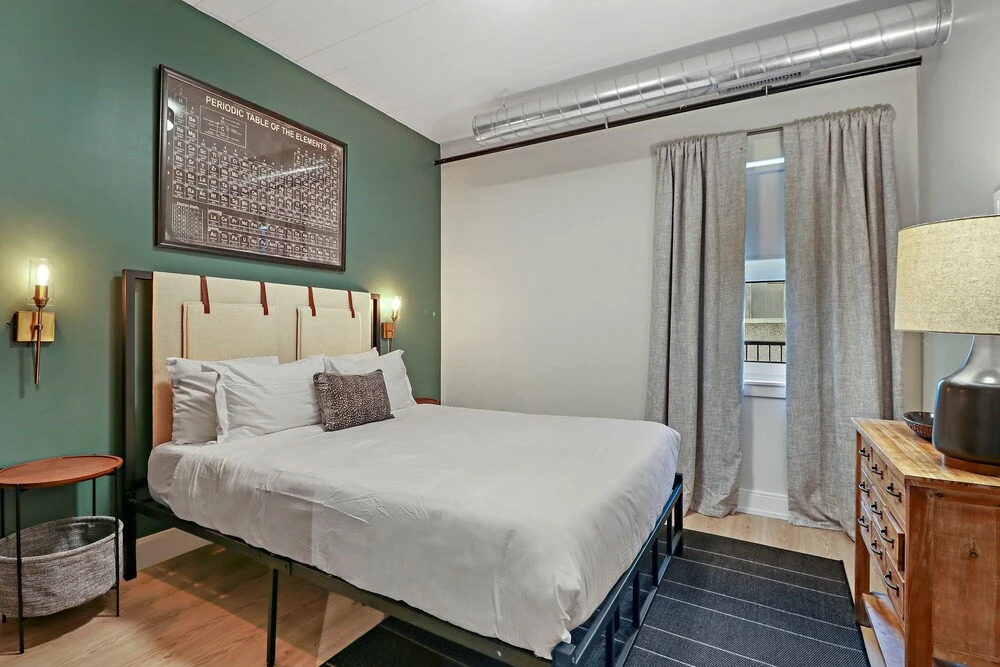 Beautiful 1BR Apt w Laundry in Belmont