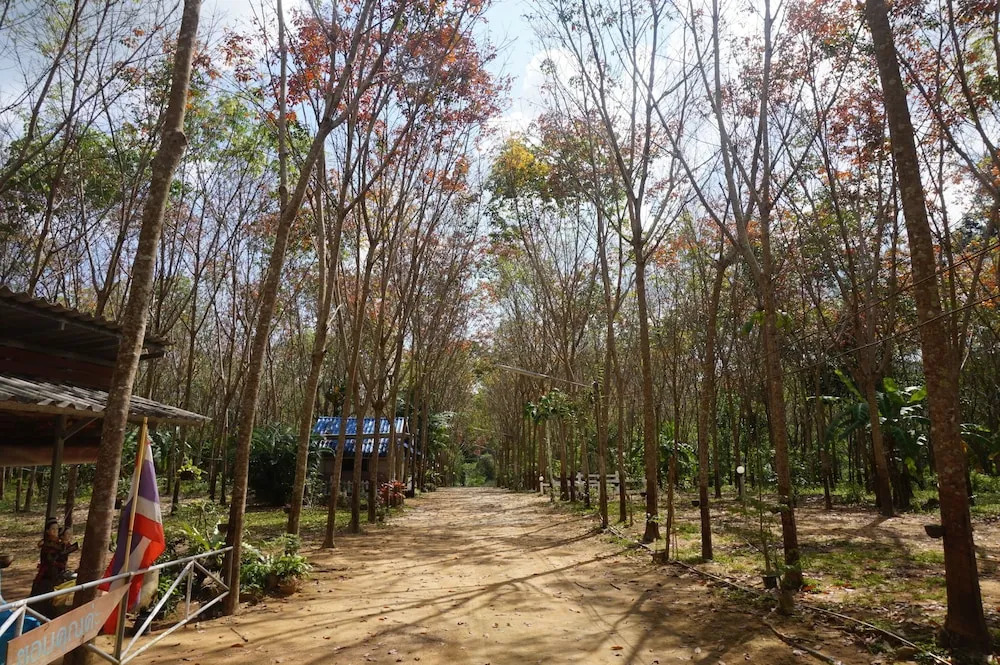 Kittiya Homestay