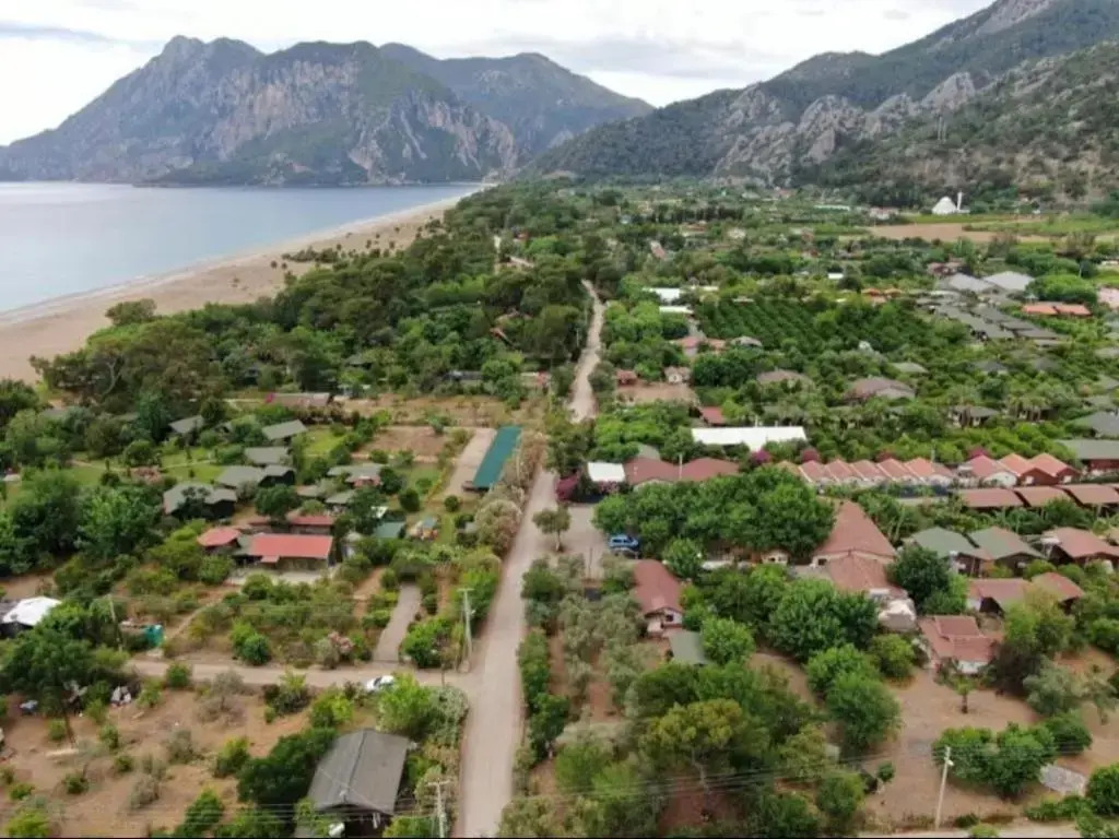 ŞAH apart
