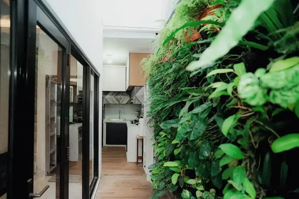 Illusion Homestay