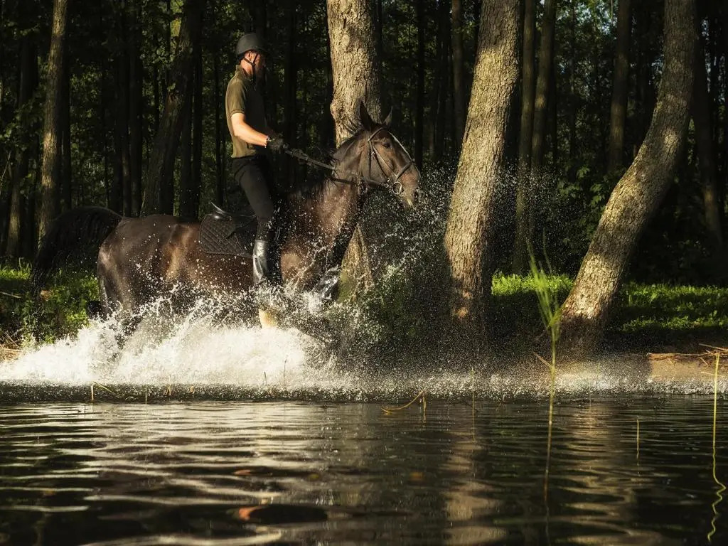 Warmia Park
