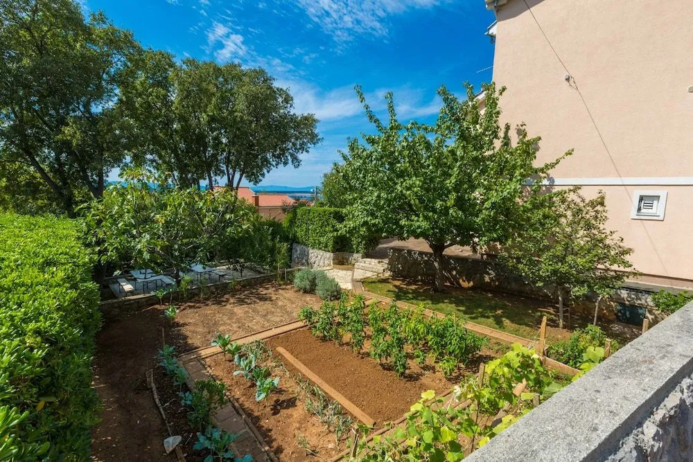 Apartments Vladimir