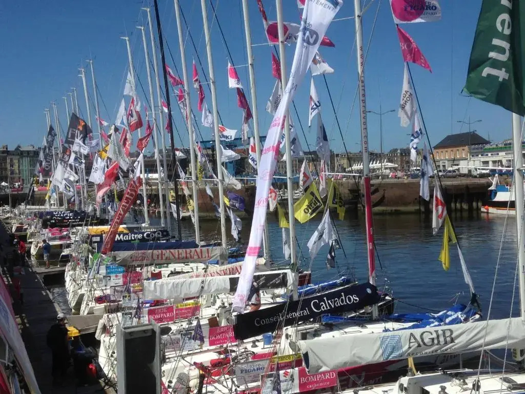 36 Pollet