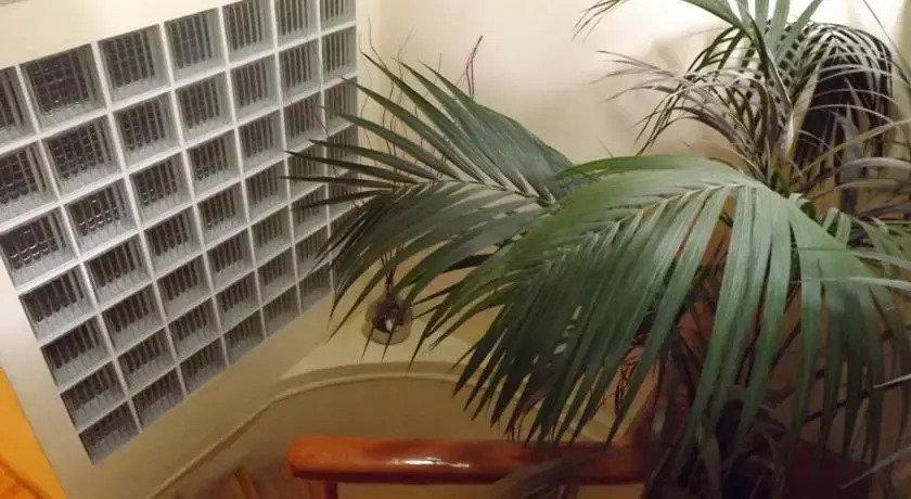 Holiday Studios - Rooms
