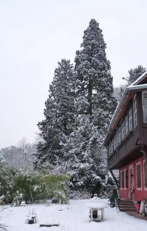Gîte "Cadichon"