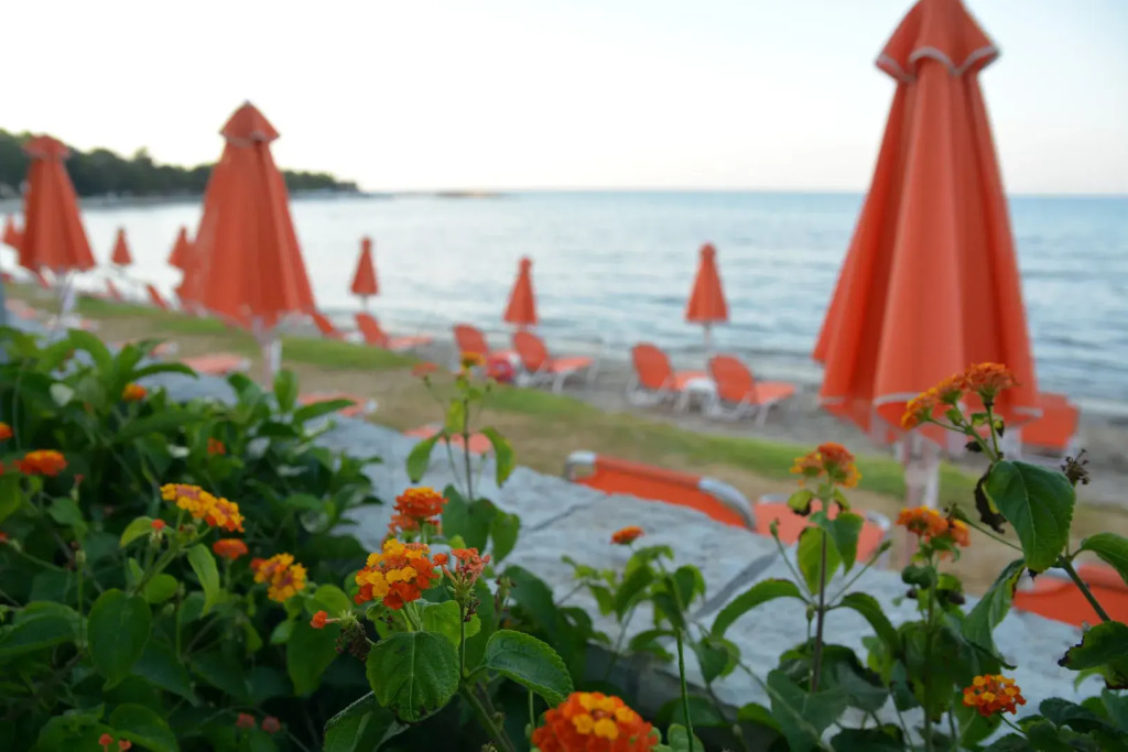 Al Mare Hotel