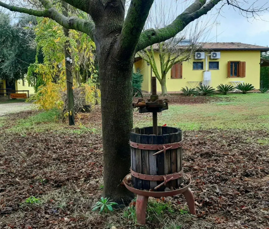 Agriturismo Podere Bedin