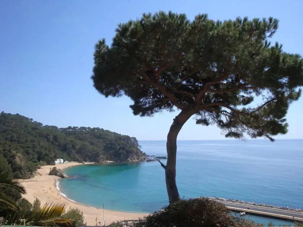 Mar