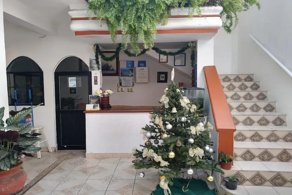 Arena Surf Hotel, Puerto Escondido