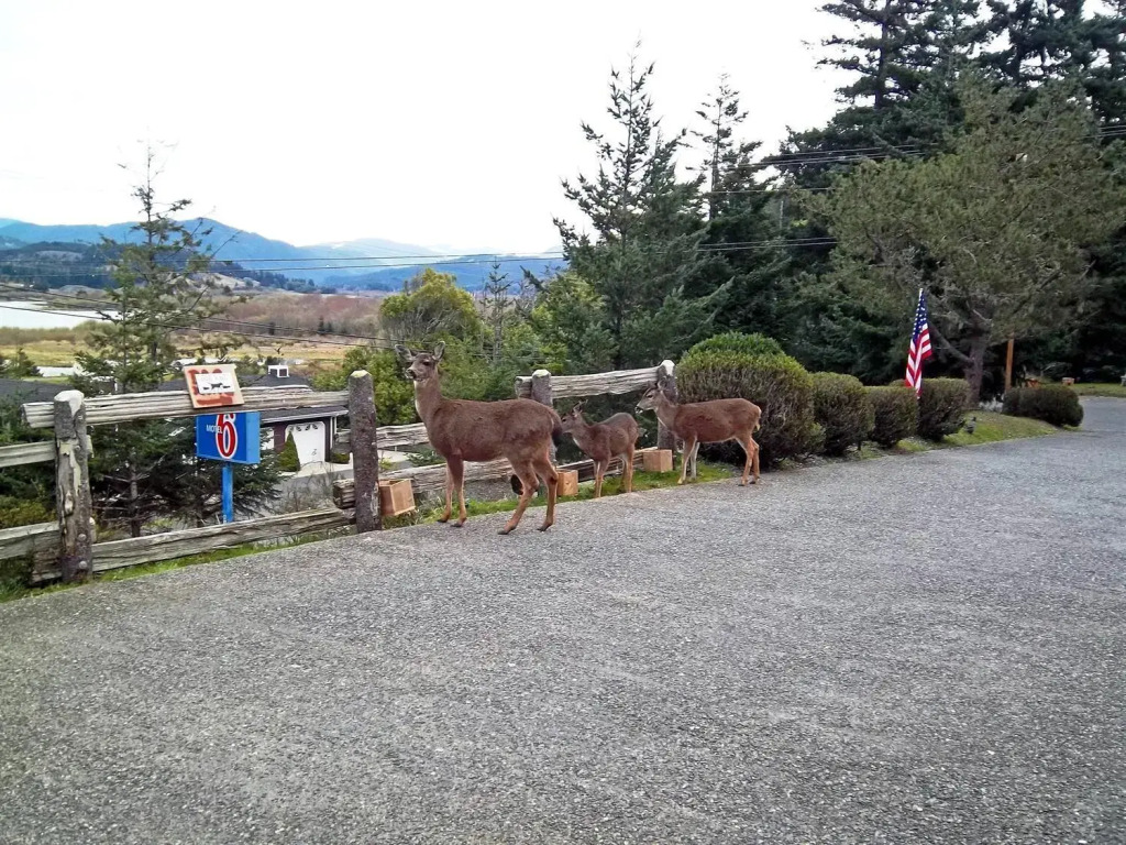 Motel 6 Gold Beach
