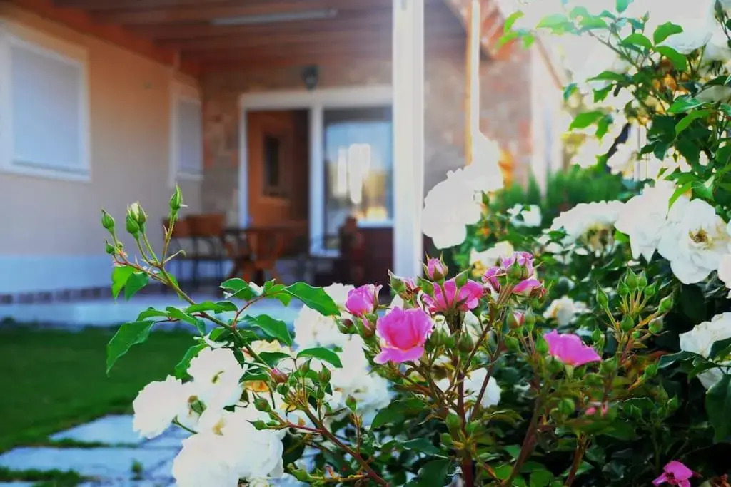 Paradisos Villa: Beachfront Oasis, Spa Terrace