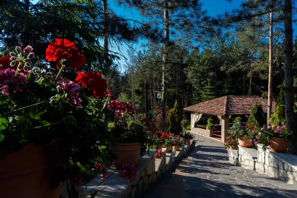 Hotel Helen