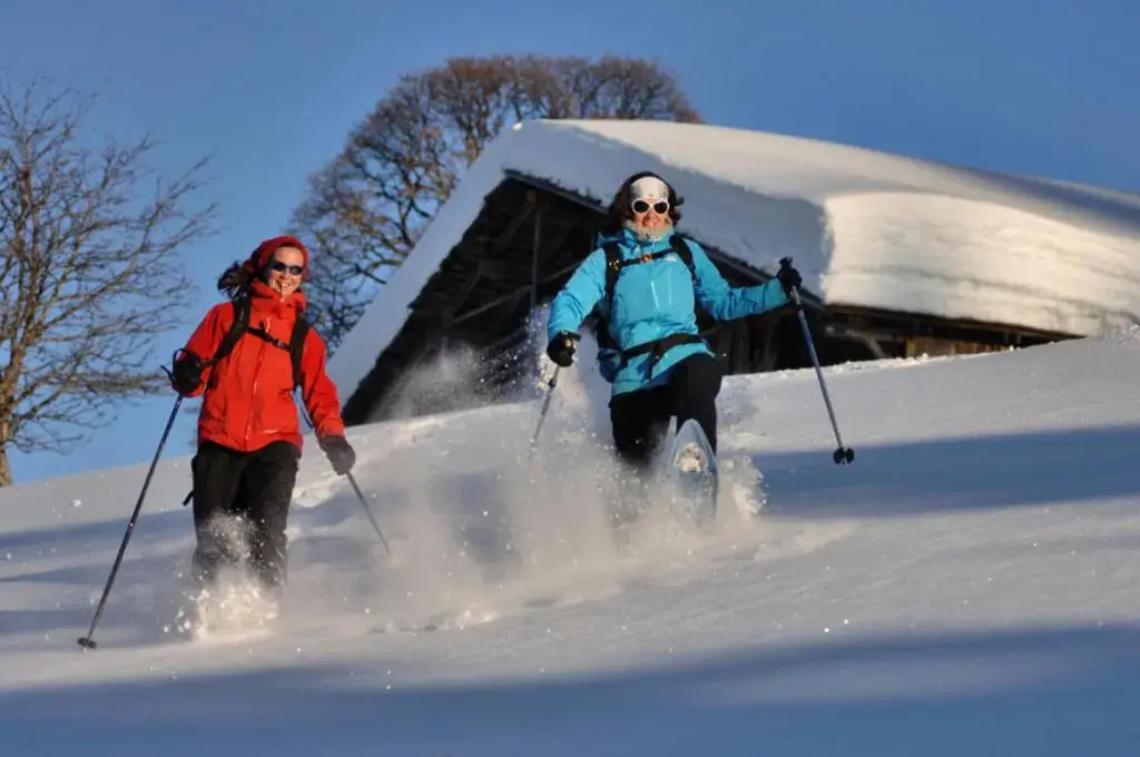 Chalet Le Buset - Grand chalet proche des pistes et du centre du village MAE-3044