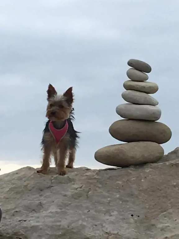 Portland Pebble