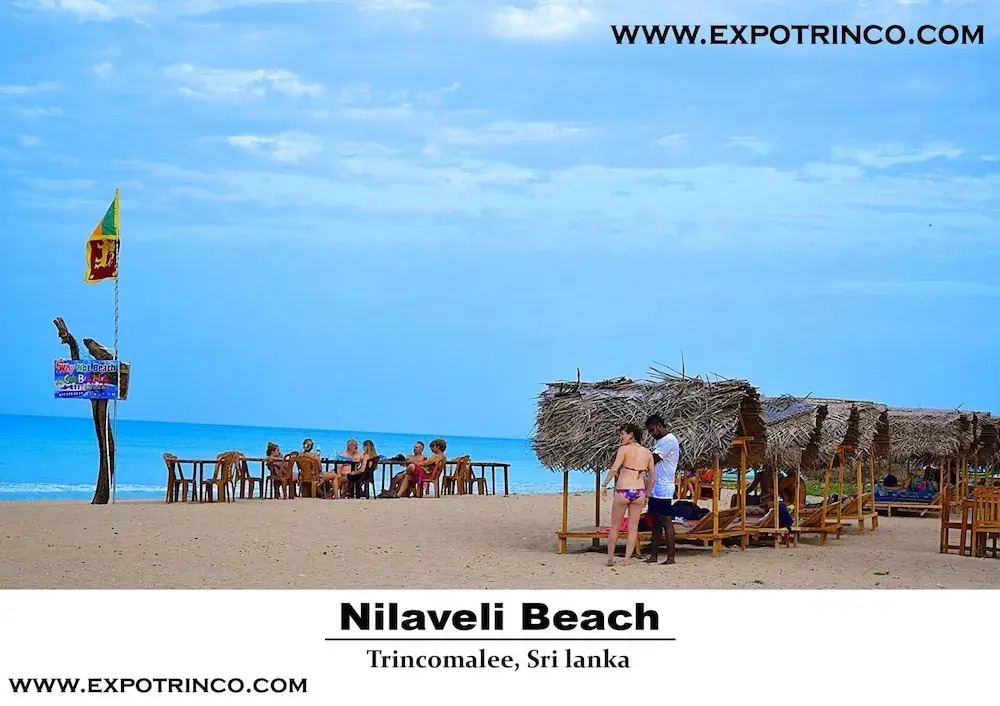 Palm view inn-Nilaveli