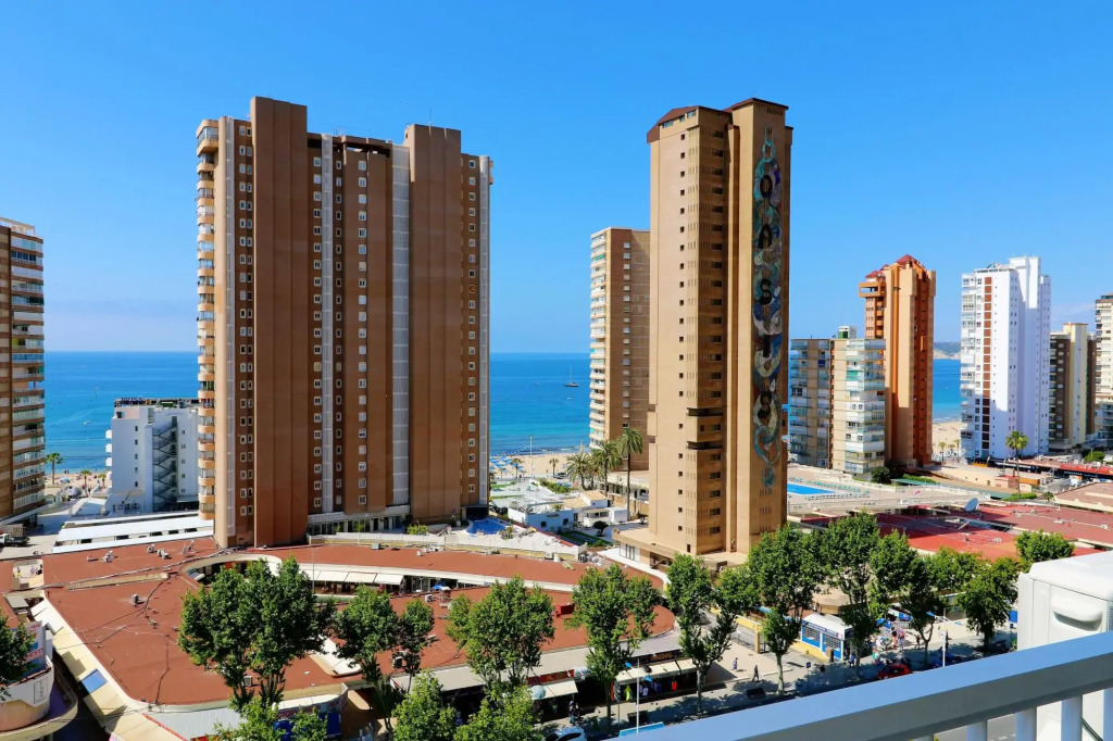 Albatros 13º