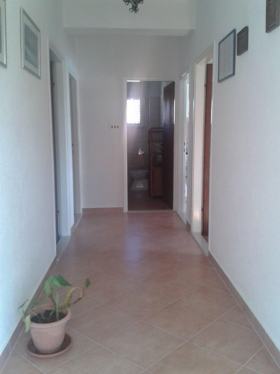 Apartments Ivo