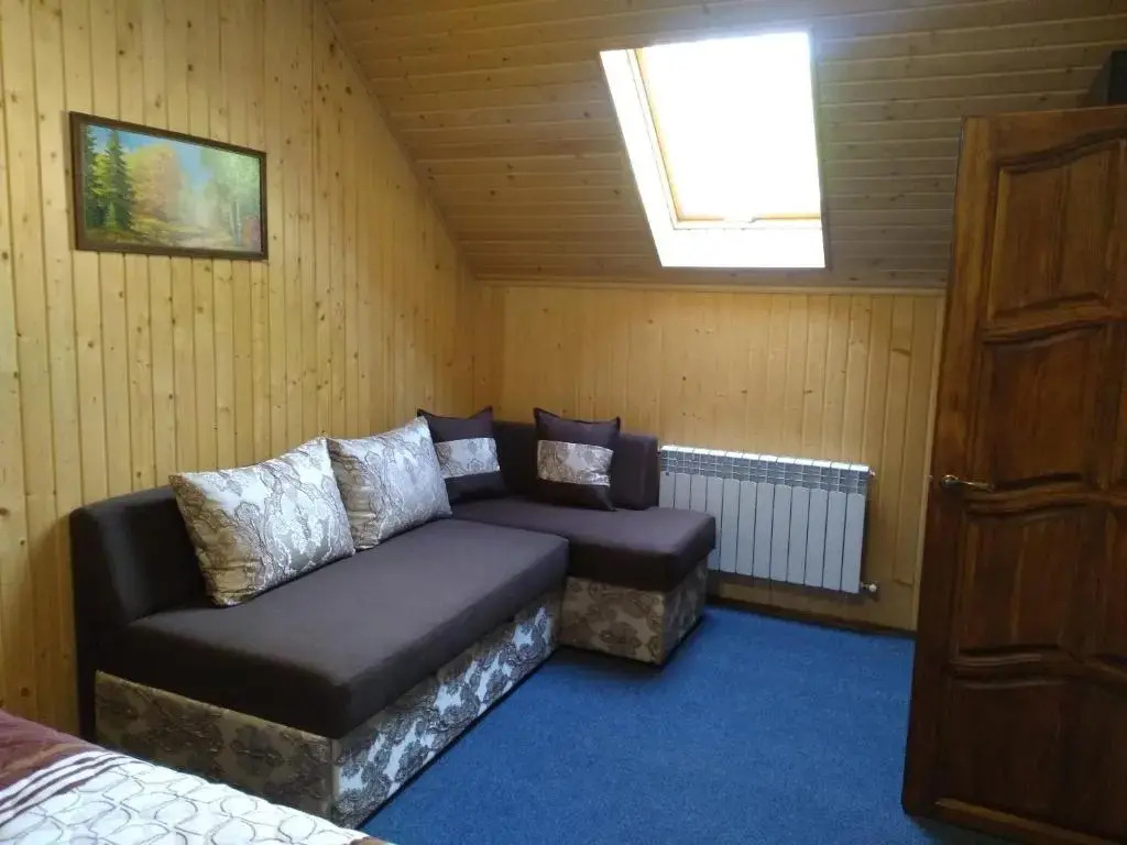 Apartments in Polyana