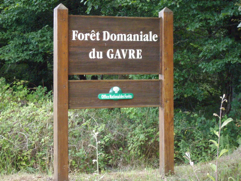 Le Nid dOmer - Gite