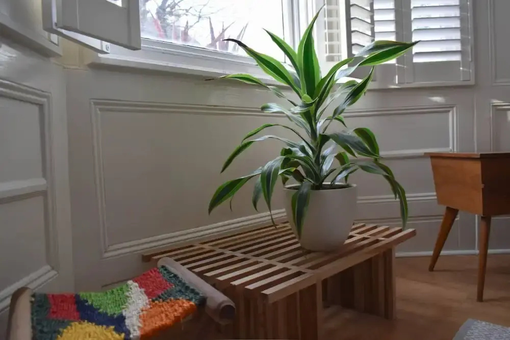 Bright and Spacious 1 Bedroom Apartment