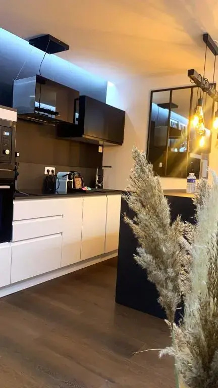 Appartement vue port et accès direct mer, centre ville de la Grande Motte prés de Montpellier