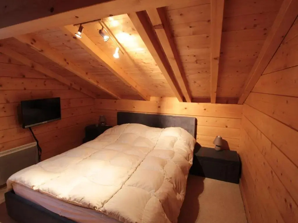 Chalet Les Carroz d'Arâches, 4 pièces, 8 personnes - FR-1-572-49