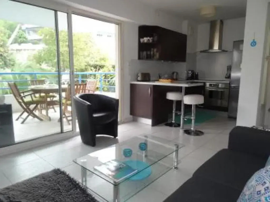 Modern one Bedroomed Apartment Just off the Cannes Seafront With a Terrace and Pool Access - 1753