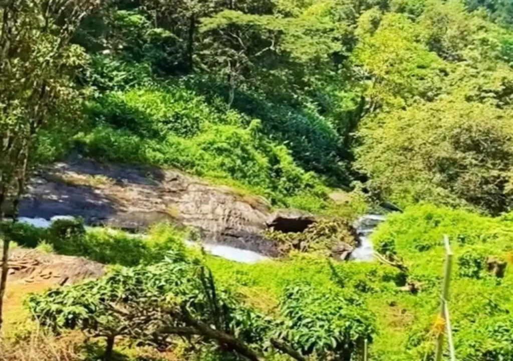 SaffronStays Cholamala