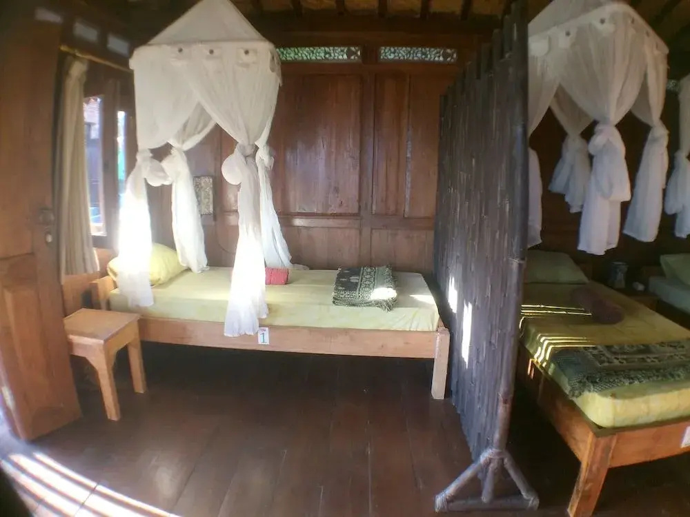 Green Paddy Hostel & Villa