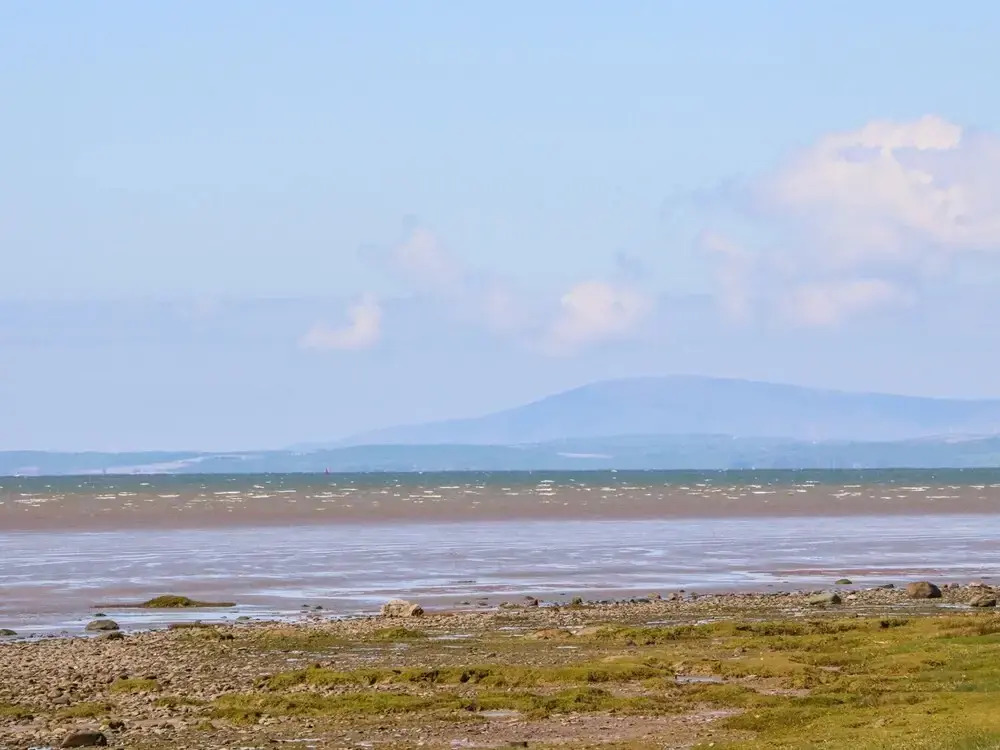 Shorefields Two